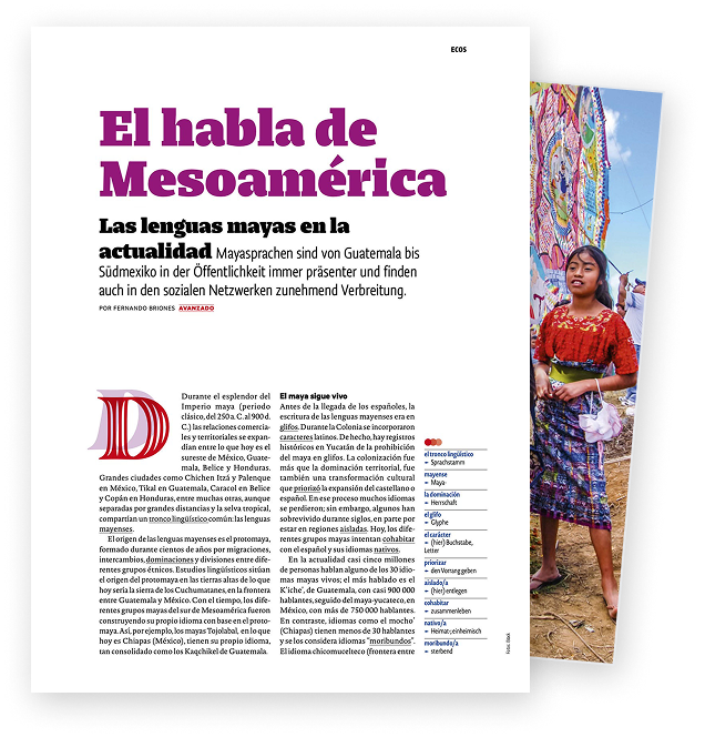 Kostenloser PDF-Download