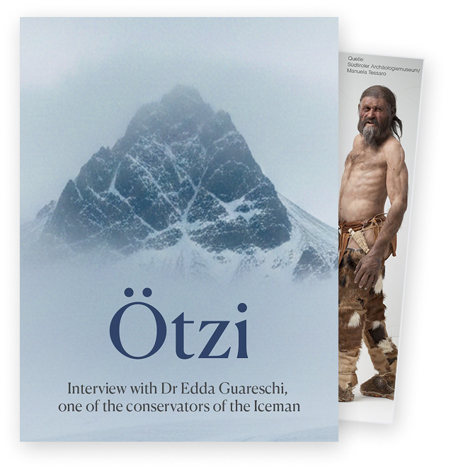 Kostenloses Video-Interview